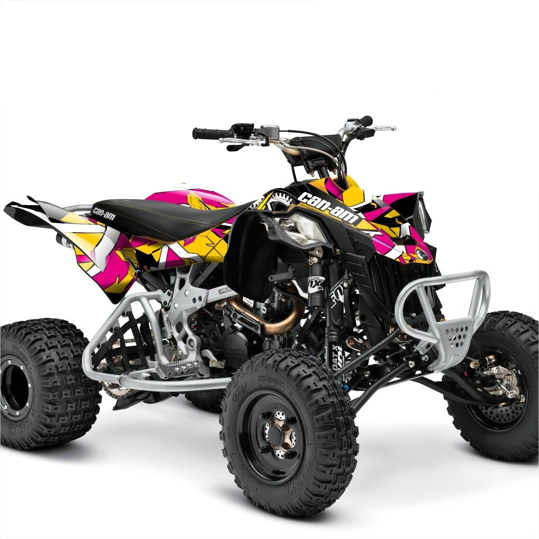 CAN AM DS450 graphics kit