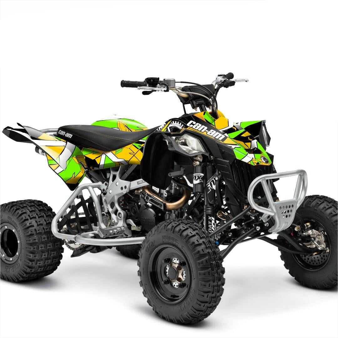 Can-am DS450 stickers